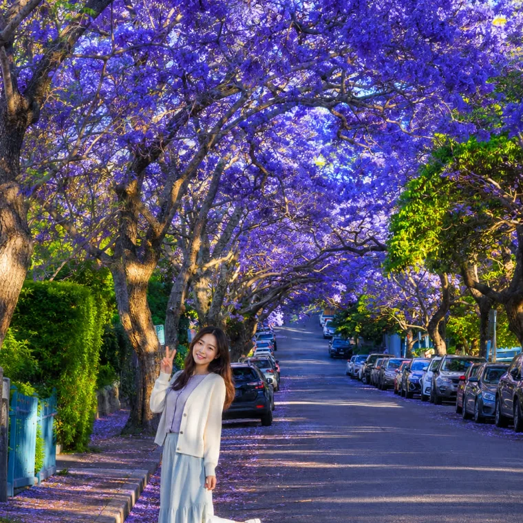 202609171528-8250359255.png 屏幕截图 2026-09-17 143316.png