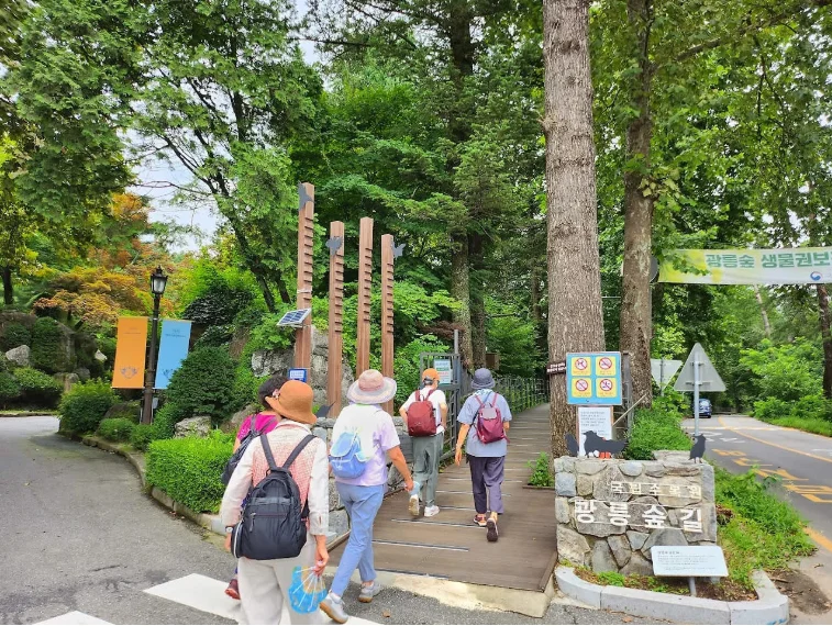 202609180917-3991850436.png image.png