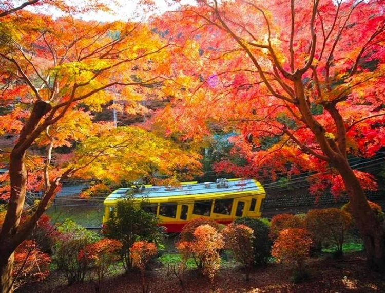 大圖