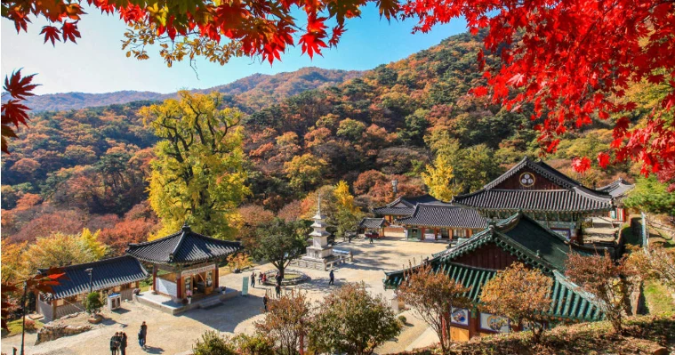 資訊配圖 3