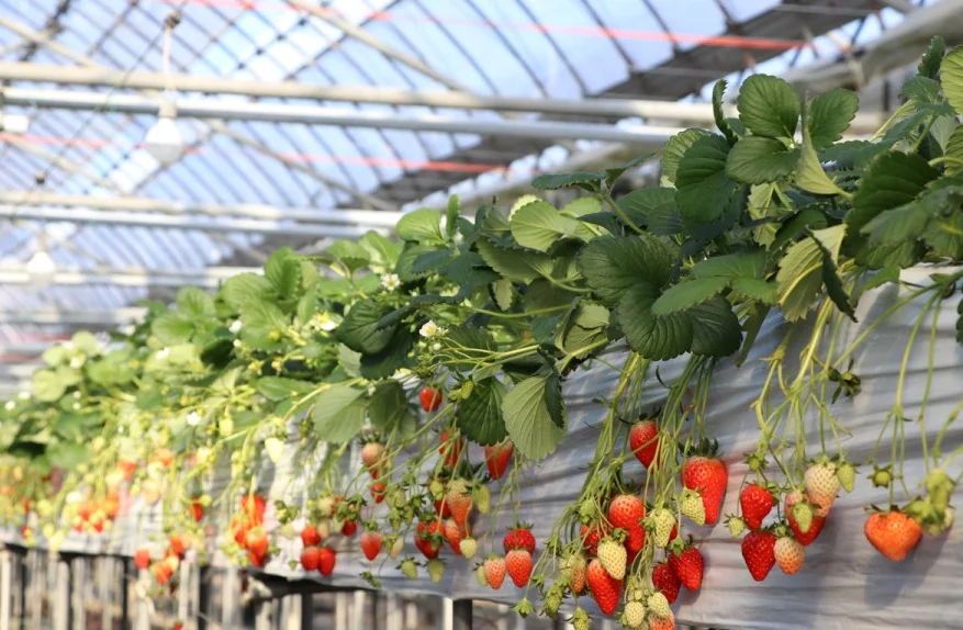 202609211512-6762159346.png 企业微信截图_17899745691557.png