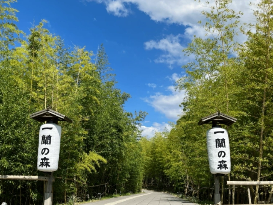 資訊配圖 2