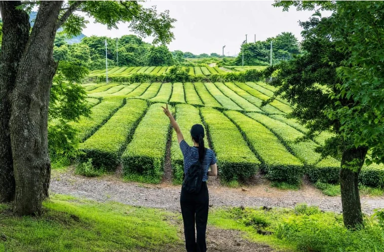 資訊配圖 4