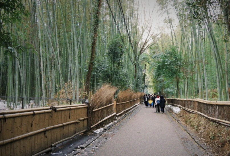 202609281510-6877999803.png image.png