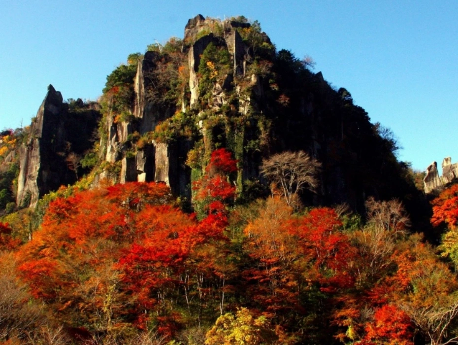 202610080940-2800354024.webp 一目八景.webp