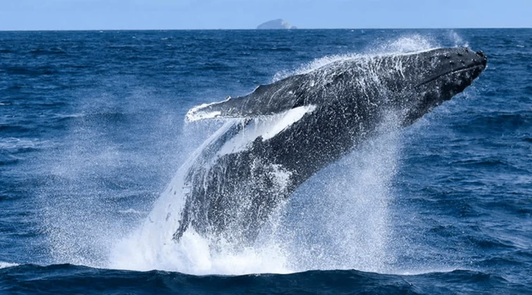 屏幕截图 2026-10-08 105913.png