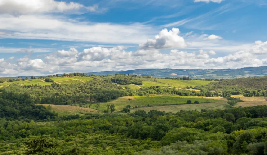 202610101013-8764554986.webp 360截图20261010101018.webp