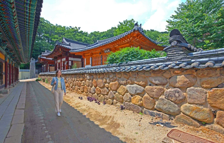 202610101043-6937931429.png image.png
