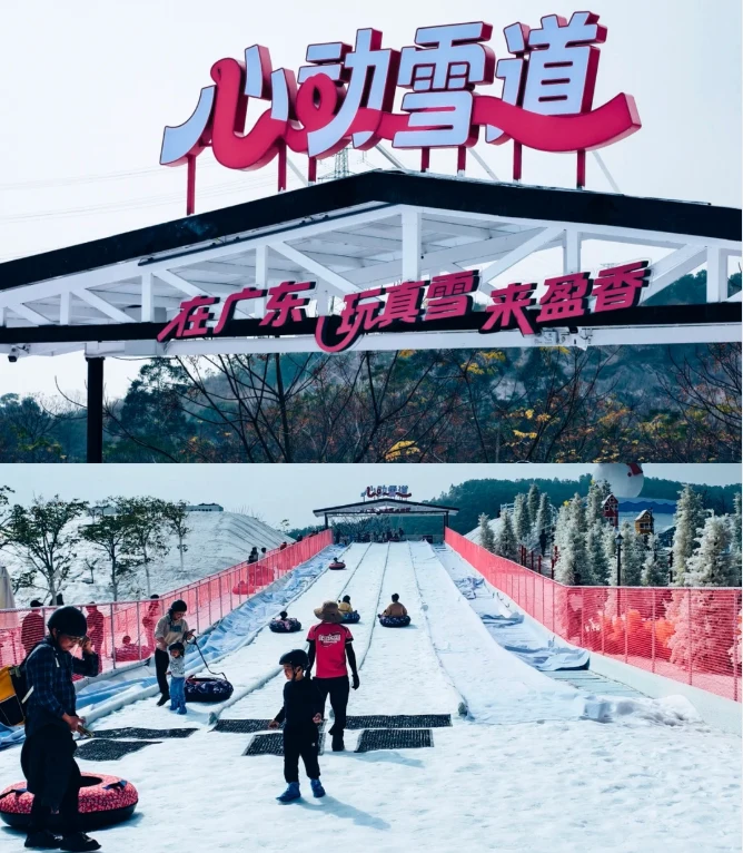202610101322-4795580499.png image.png