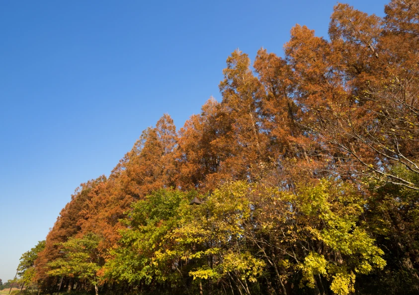 202610101445-7500125047.png image.png