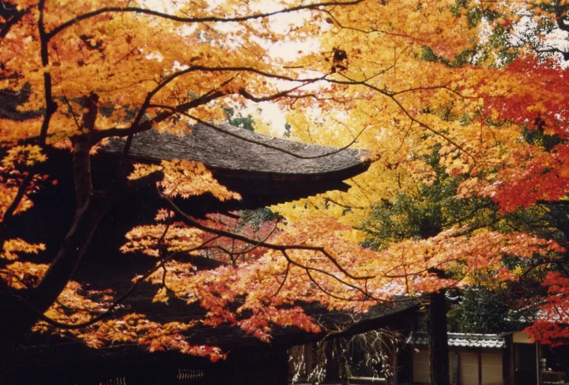 202610101639-1251105871.png image.png