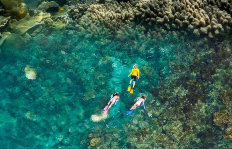 屏幕截图 2026-10-13 110811.webp