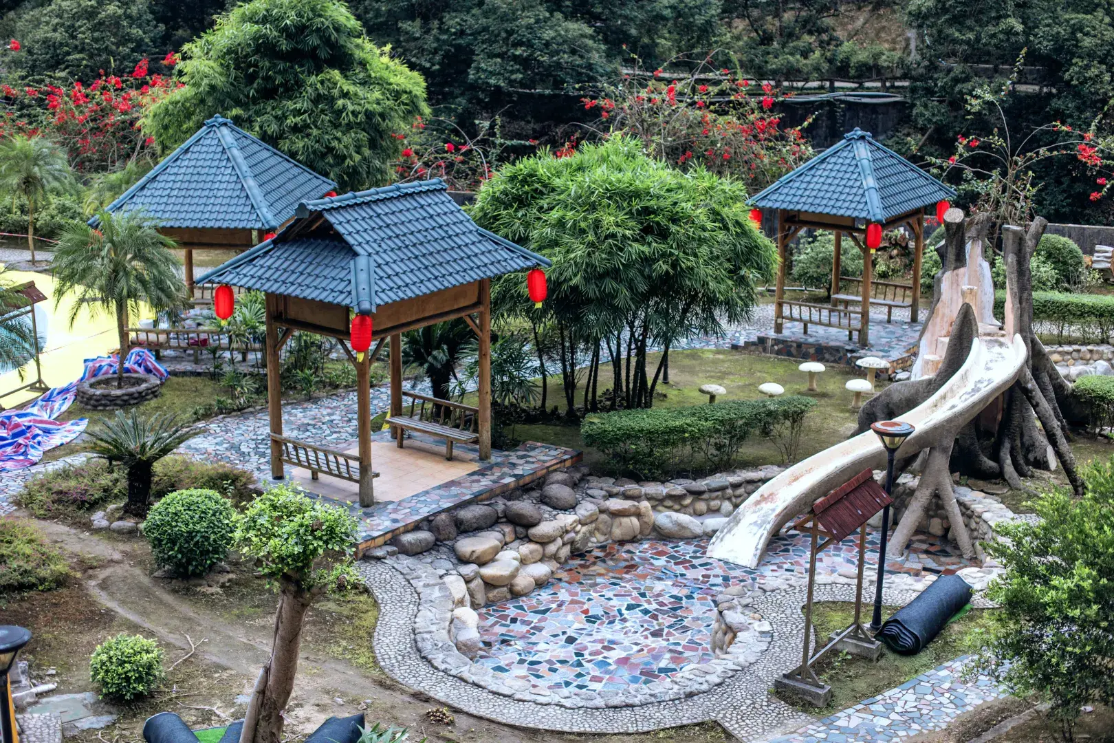 大圖