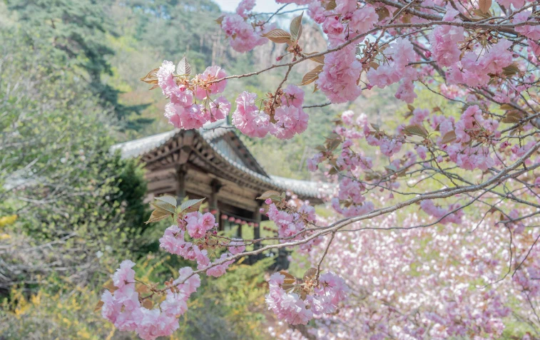 202610160936-4461144153.png image.png