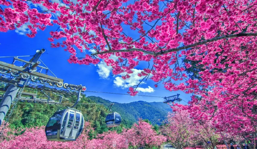 360截图20261019092748.webp