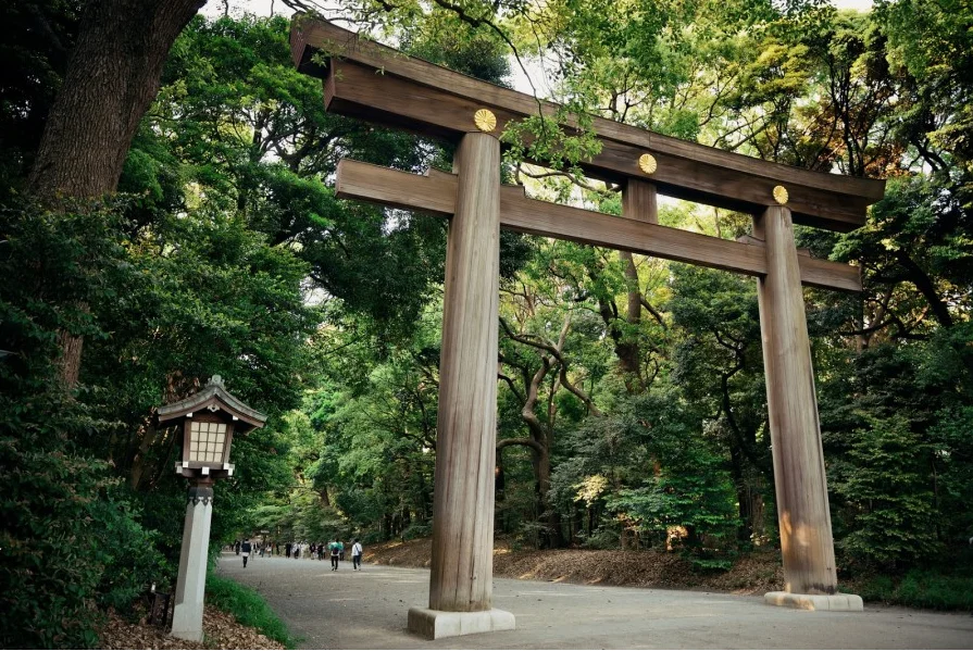 202610201140-5159483180.png image.png