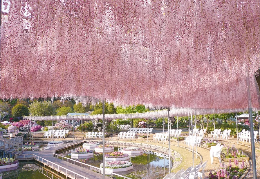 202610201355-8405468783.png image.png