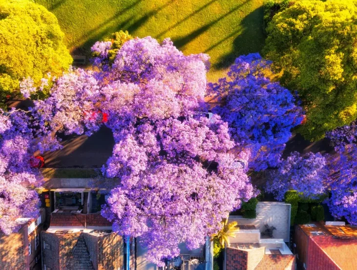 202610201401-9510444676.png image.png