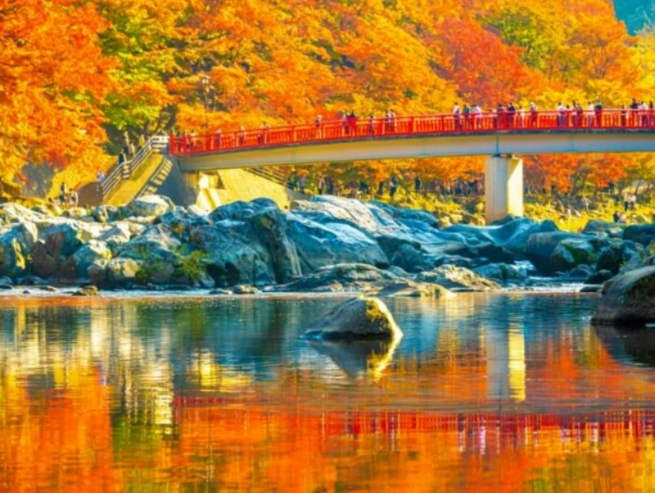 企业微信截图_1792545681307.webp