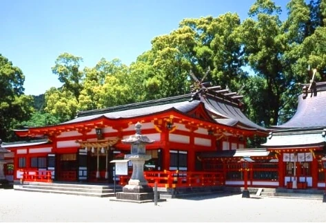 大圖
