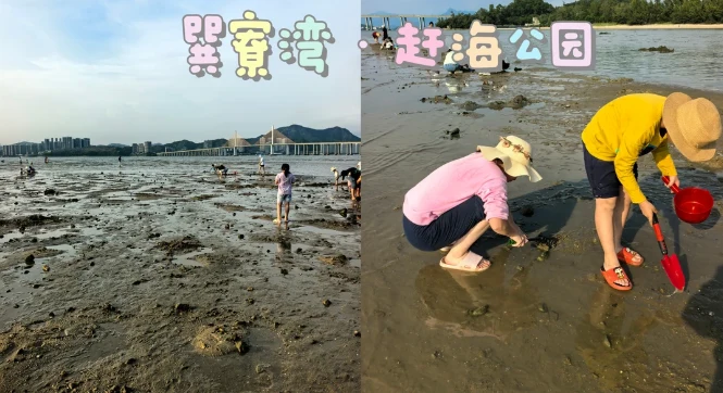 202610211526-3874248951.png image.png