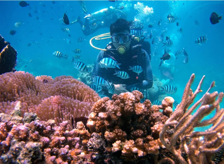 202610220945-7559508257.png image.png