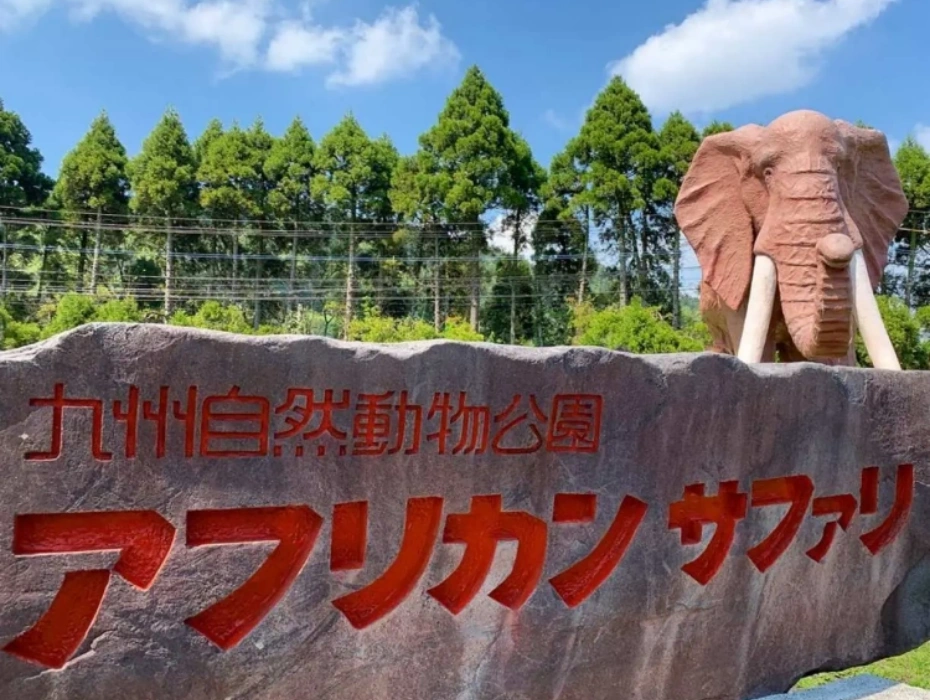 202610221047-8016150051.webp 企业微信截图_1792637002445.webp