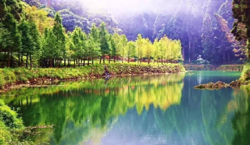 大圖