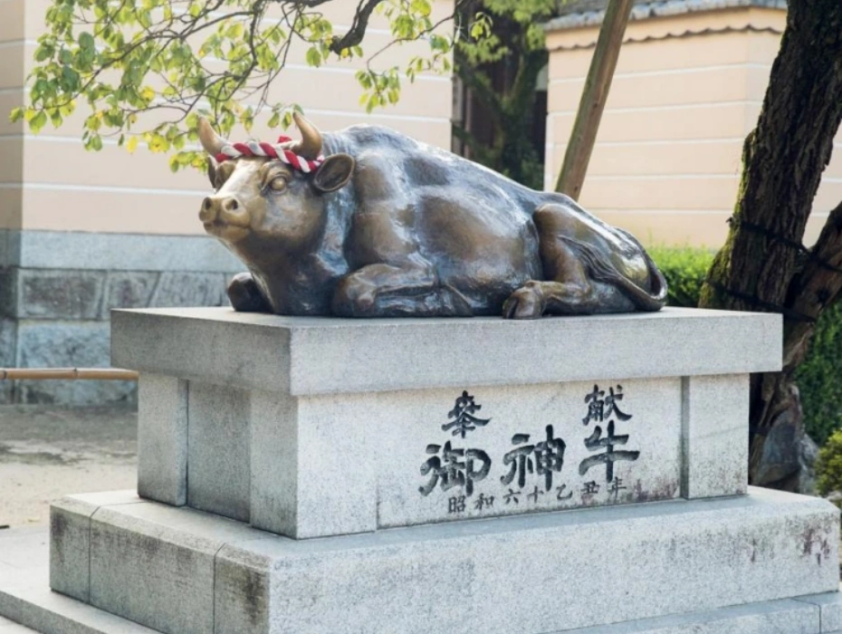 202610221200-9282901693.webp 企业微信截图_17926409904967.webp