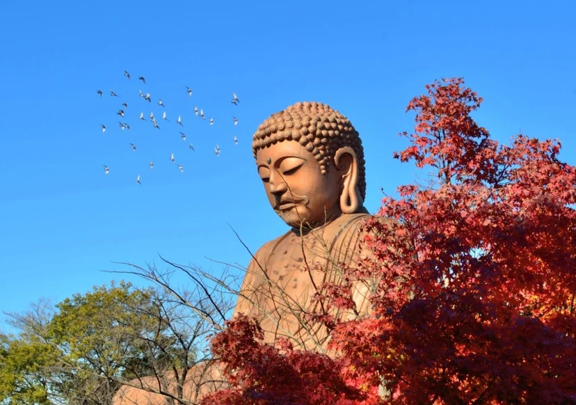 202610221358-5422194924.png 企业微信截图_17926485926772.png