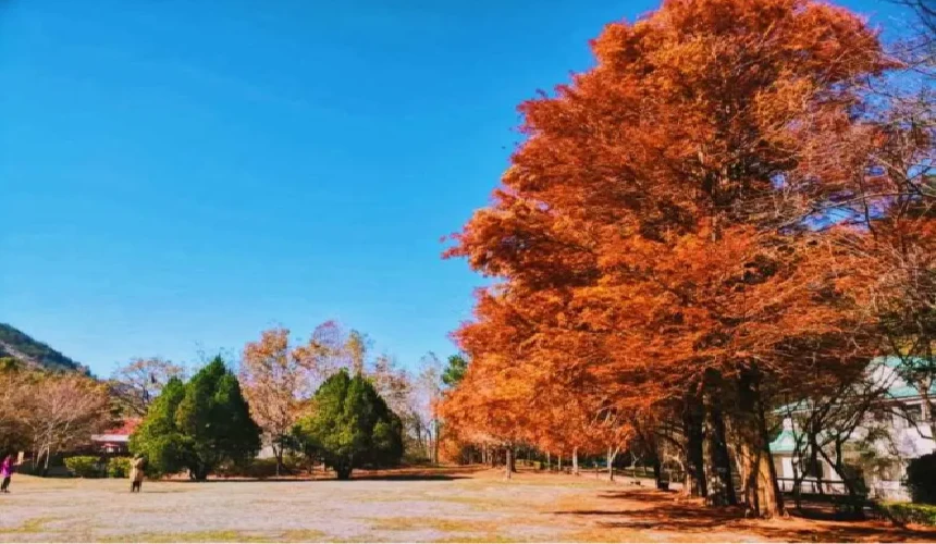 202610221423-7861685910.png 360截图20261022142003.png