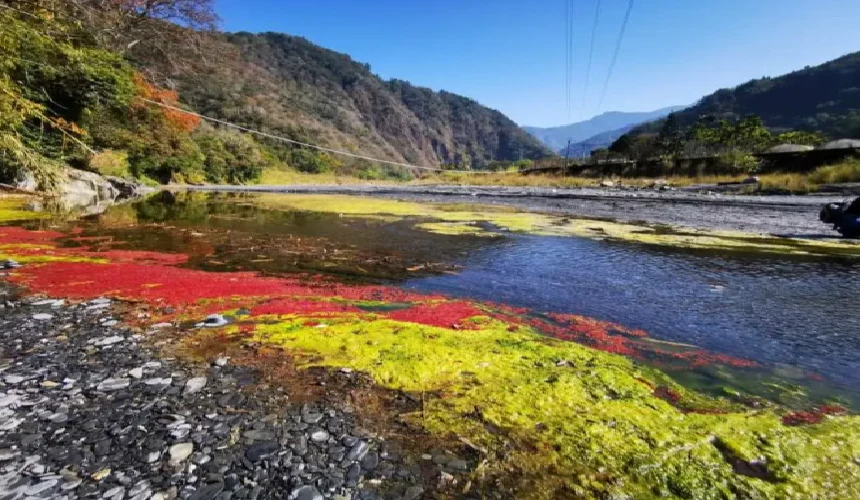 202610221425-2729614257.png 360截图20261022141931.png