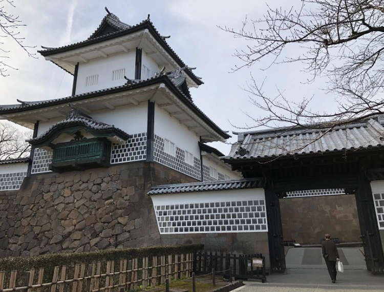 大圖