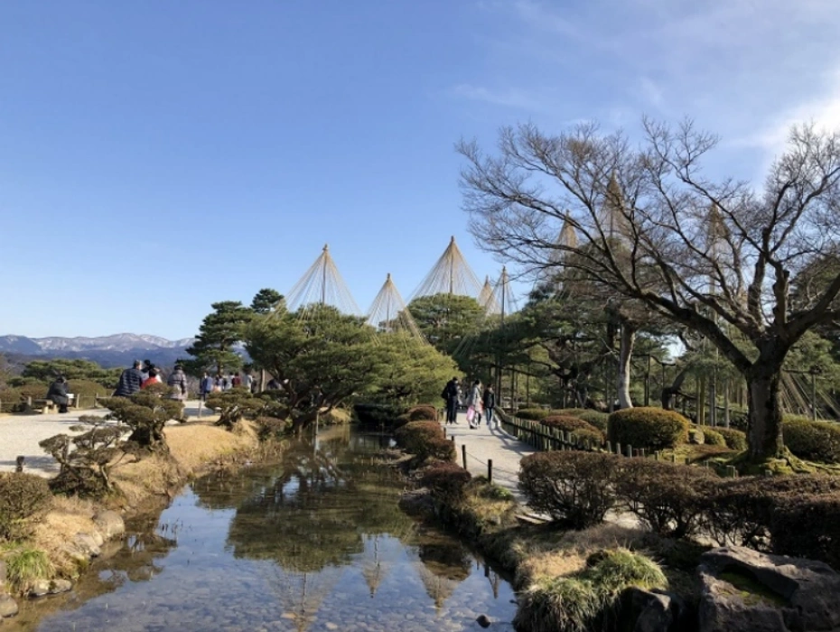 企业微信截图_1792723160120.webp