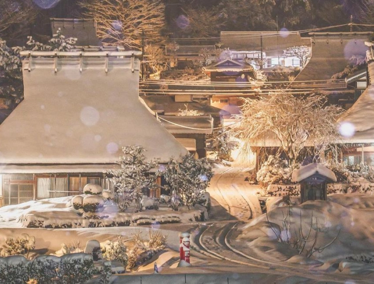 大圖