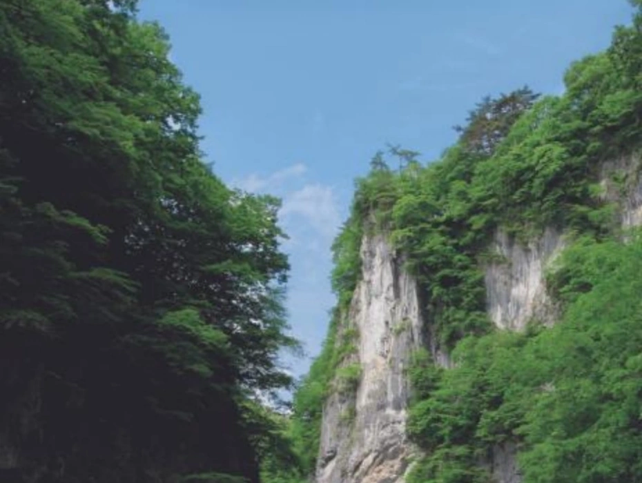企业微信截图_17929864101825.webp