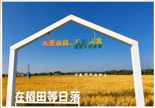 202610271113-6001515971.png image.png