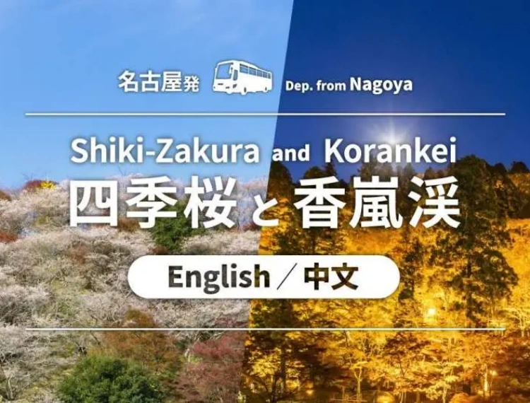 大圖