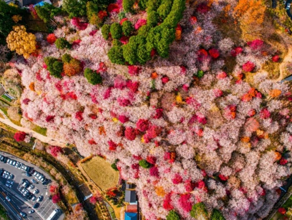 202610271342-4260485087.webp 企业微信截图_17930794141964.webp