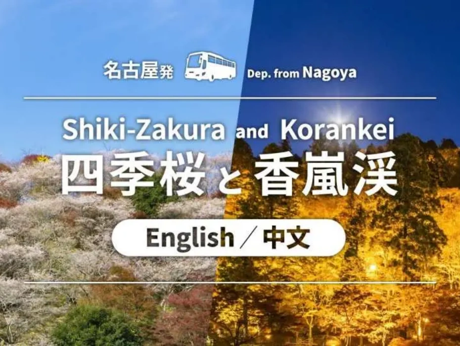 202610271342-8391405520.webp 企业微信截图_17930795646962.webp