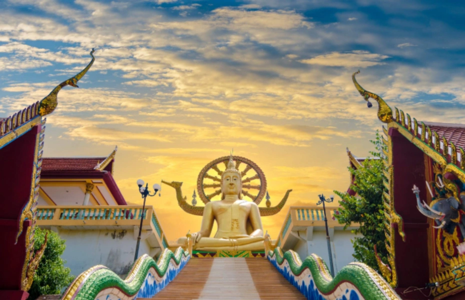 202610291019-4817928760.webp 屏幕截图 2026-10-29 101756.webp