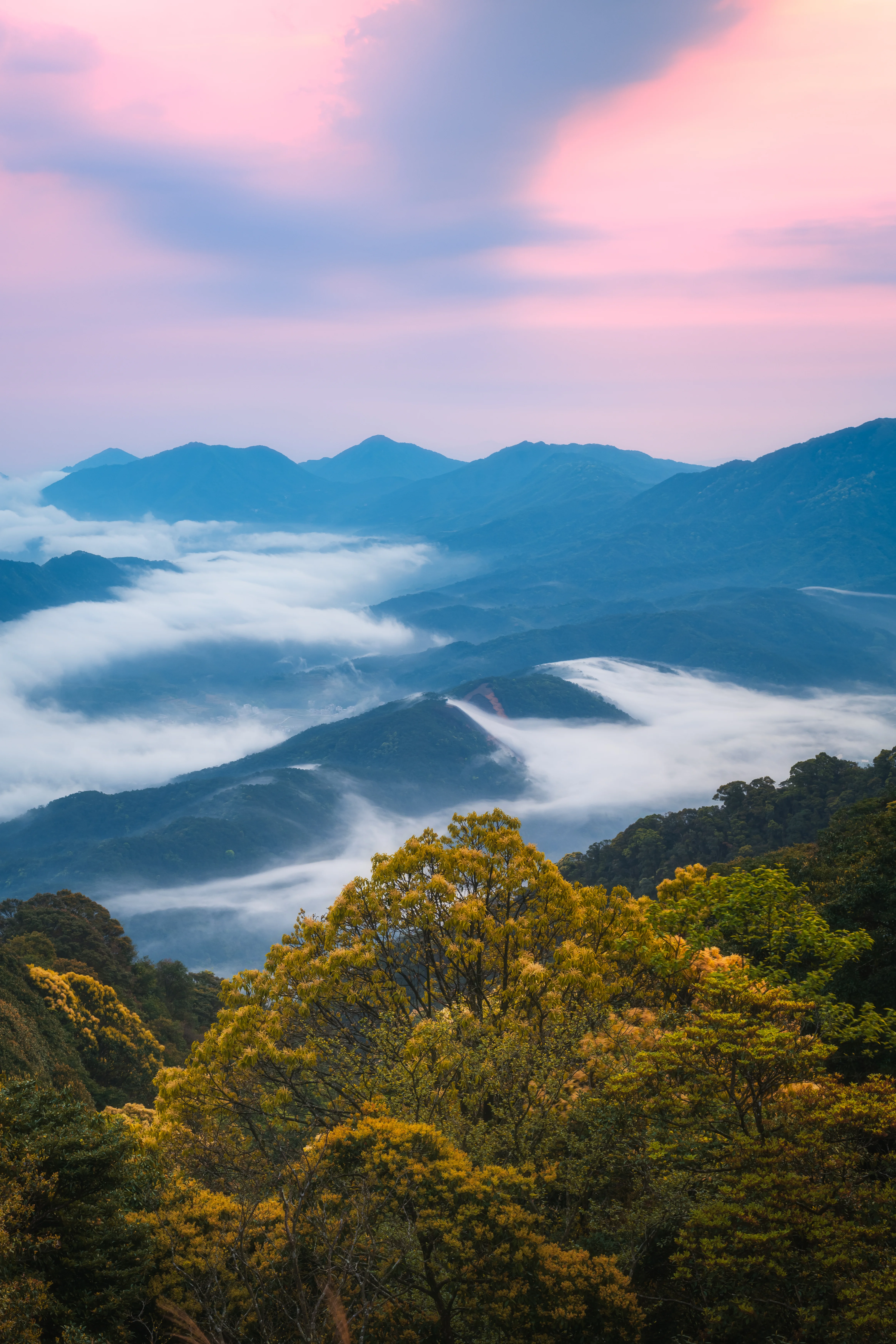 雲霧山森林公園 圖片 1