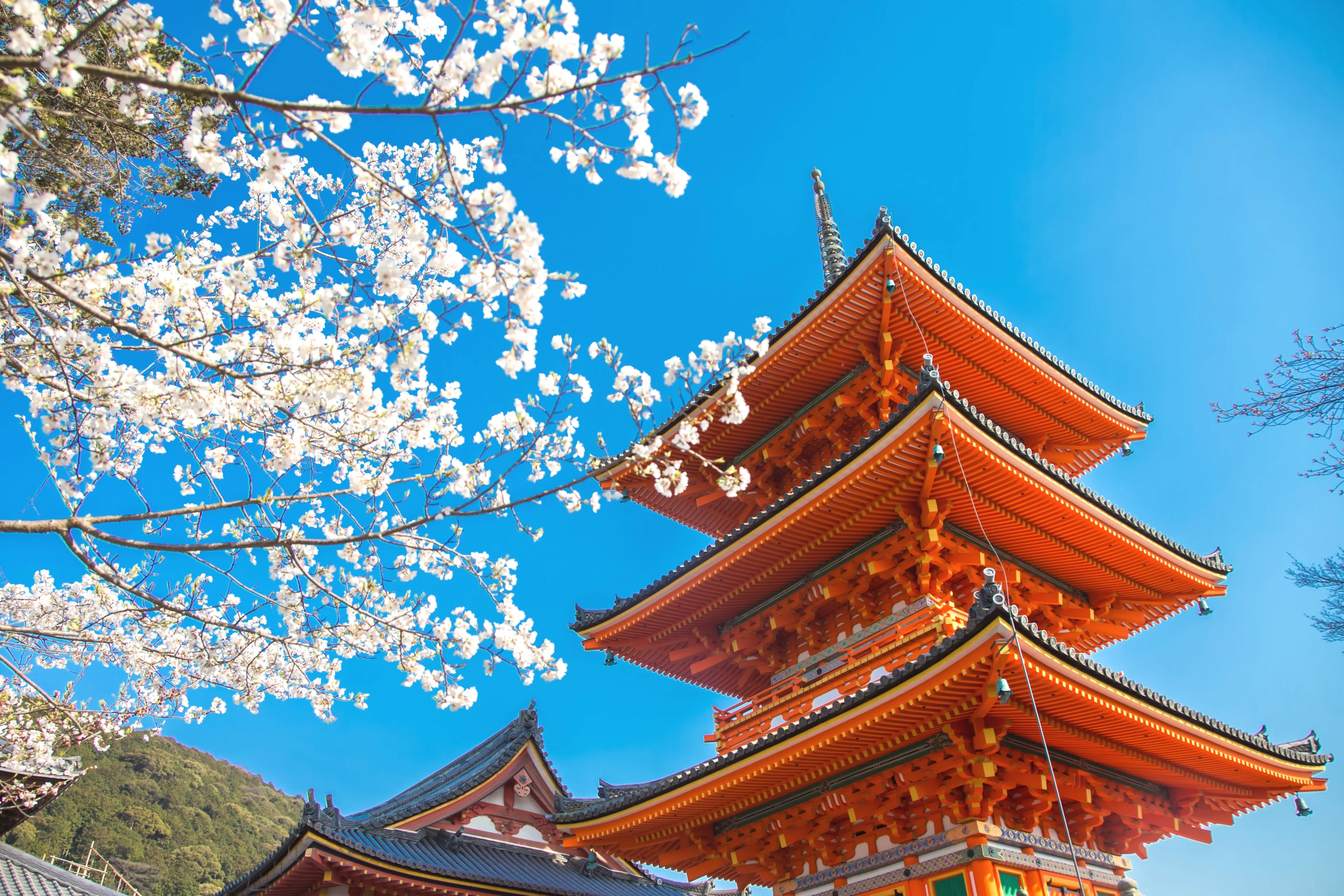 清水寺 圖片 1