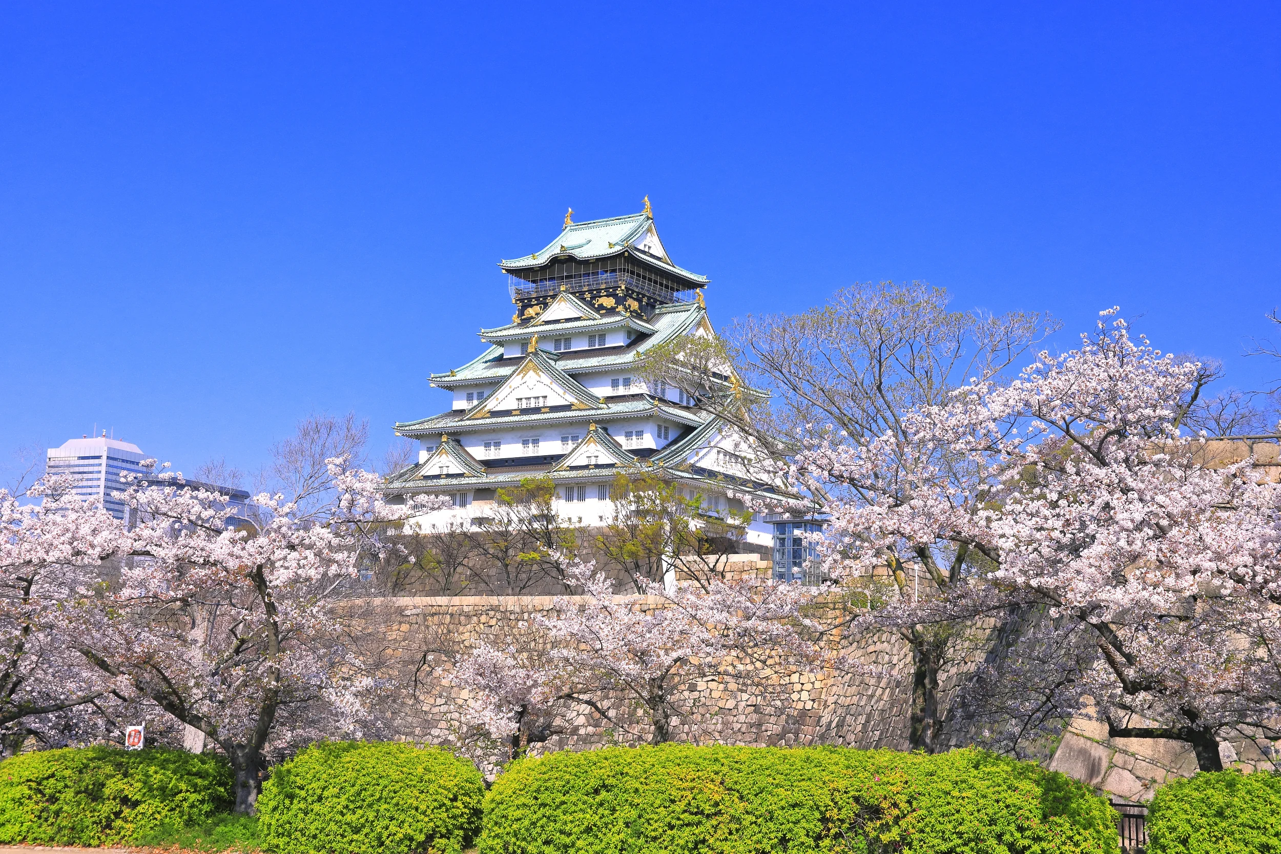 大阪城公園 圖片 1
