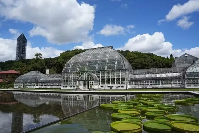 東山動植物園 圖片 1