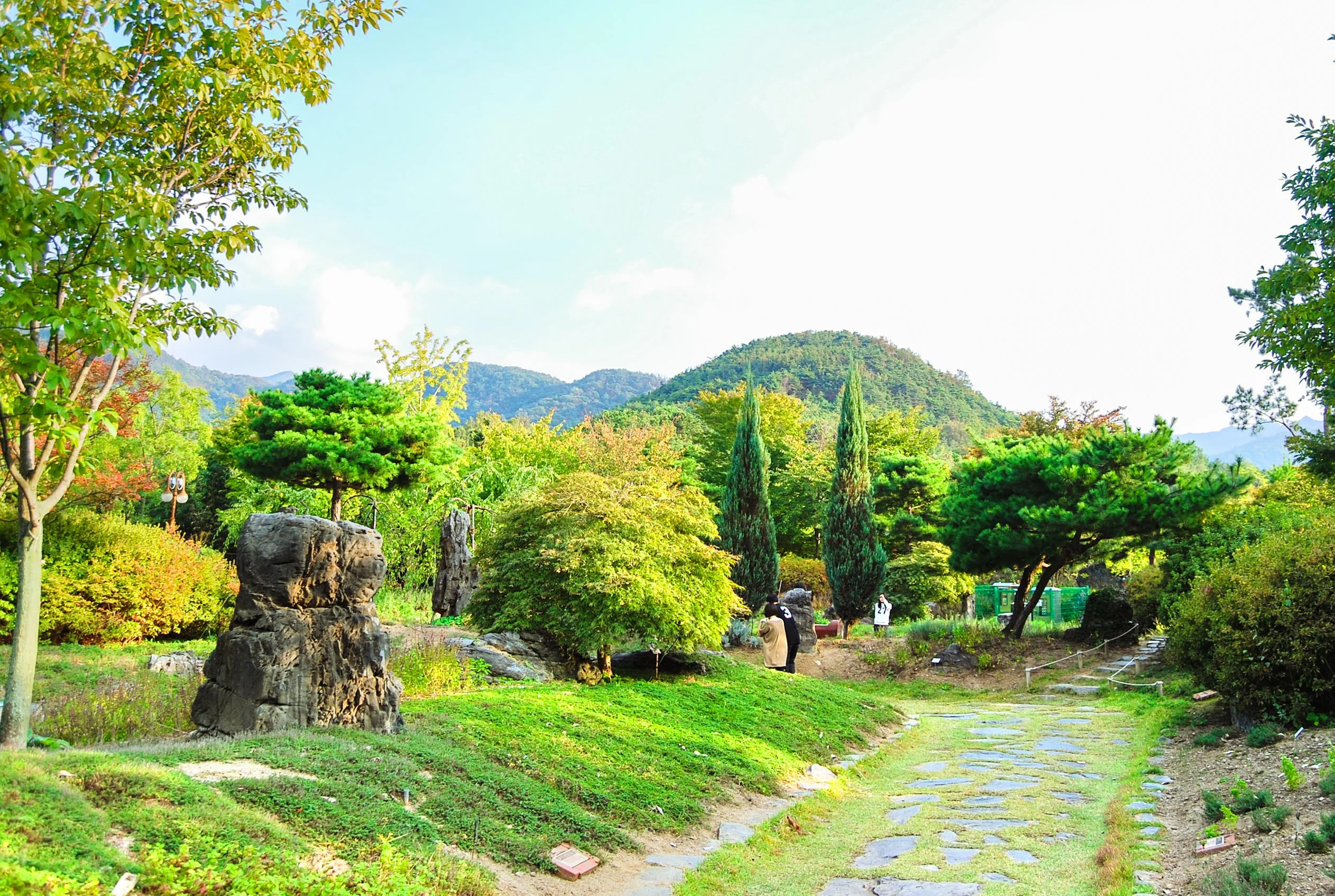 大邱植物園 圖片 1