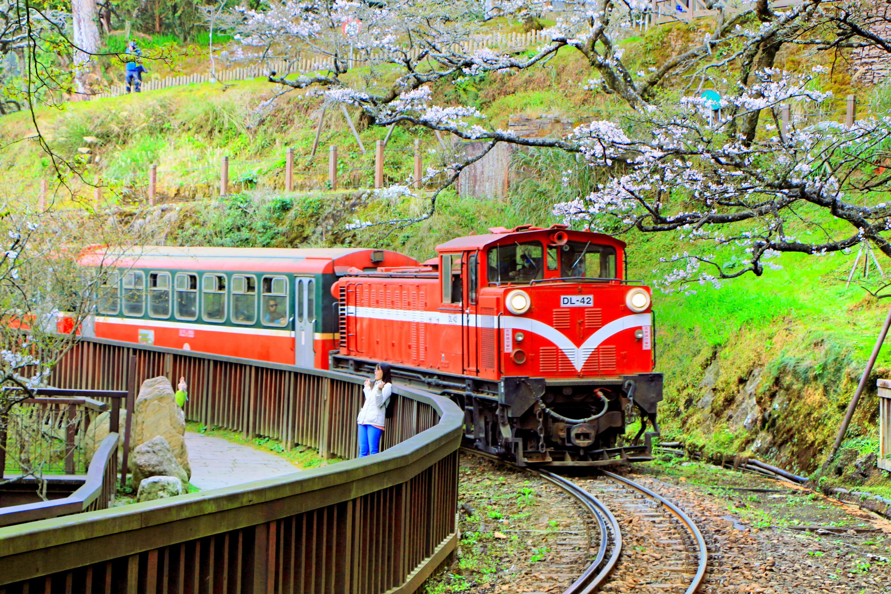 阿里山森林鐵路車庫園區 圖片 1