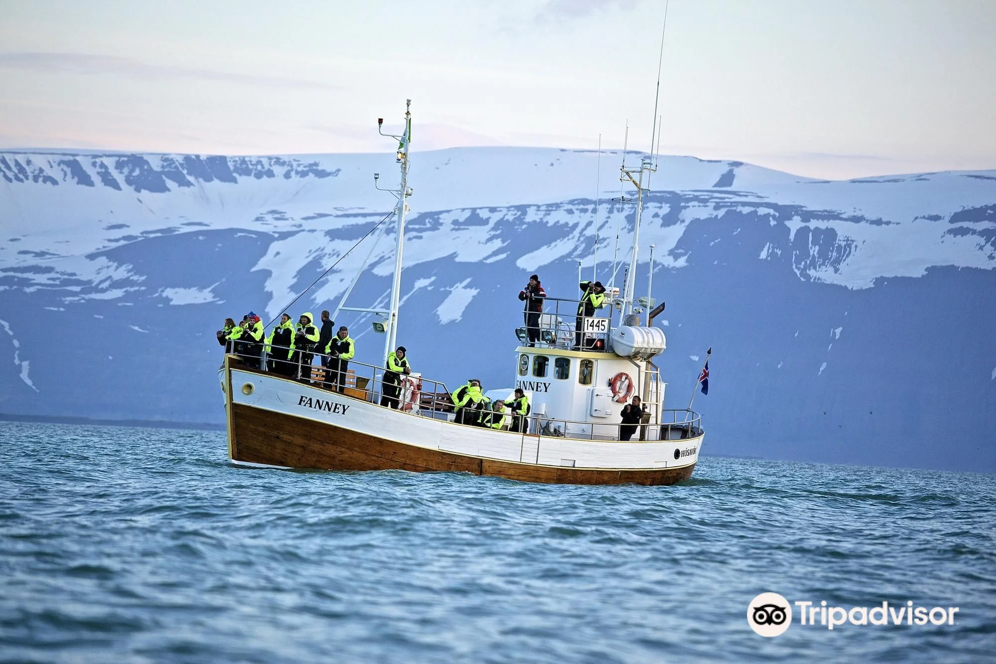 Salka Whale Watching 圖片 1